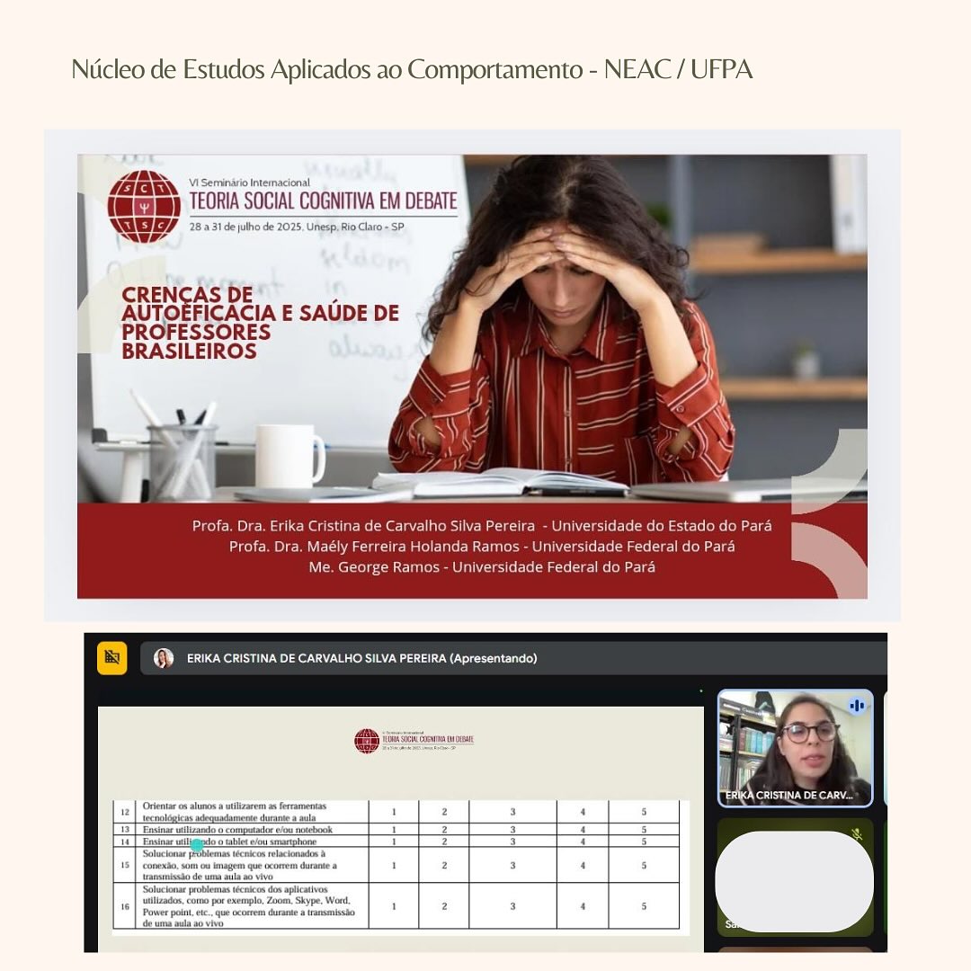 VI Seminário Internacional Teoria Social Cognitiva em Debate